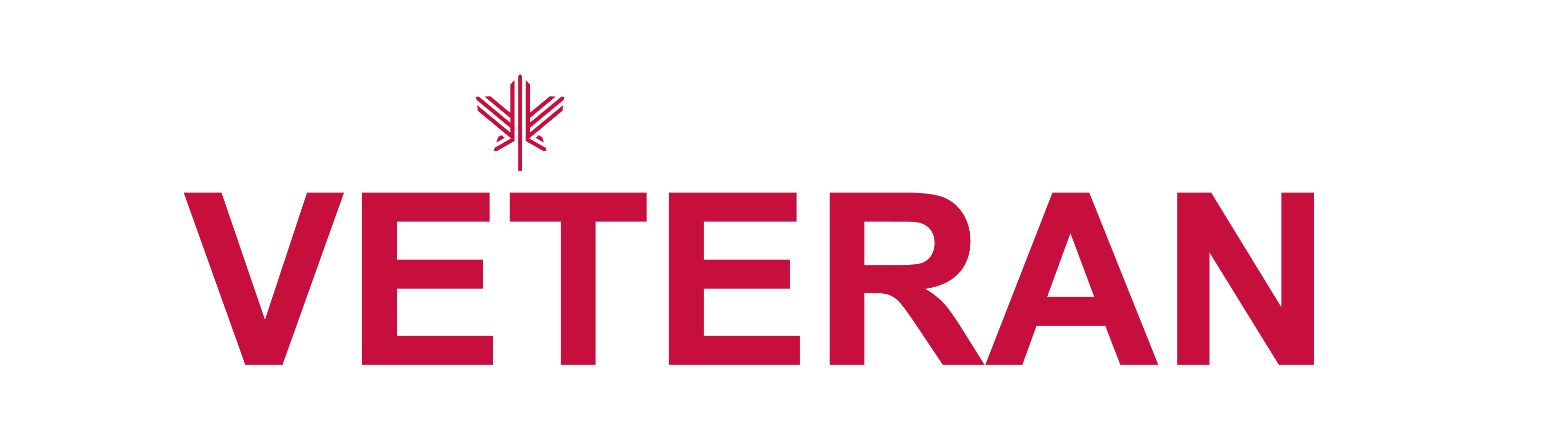 Buy Achetons Veteran.ca Logo